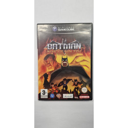 Batman: Rise Of Sin Tzu Gamecube