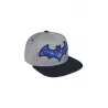 Batman Blue Symbol Snapback Cap
