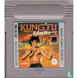 Kung Fu Master GB - Cartridge Only
